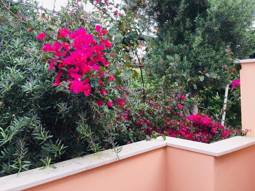 B & B Jasmine Санта Тереза ди Рива Екстериор снимка